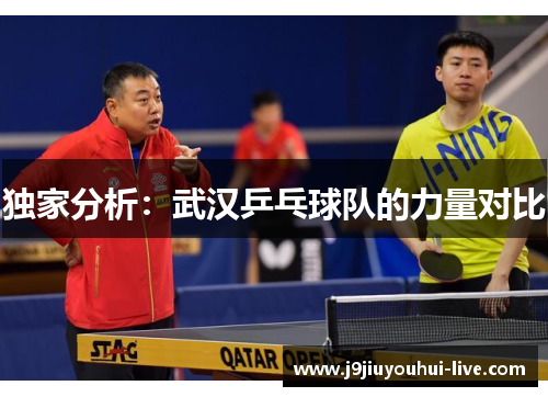 独家分析：武汉乒乓球队的力量对比